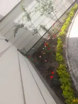 خدمات کشاورزی جعفر نودهانی