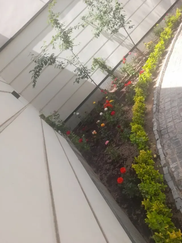 خدمات کشاورزی جعفر نودهانی