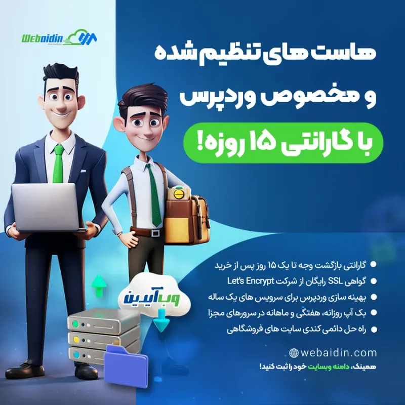خدمات هاستیگ وب آیدین