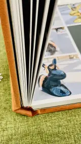 لابراتوار چاپ عکس چاپیک