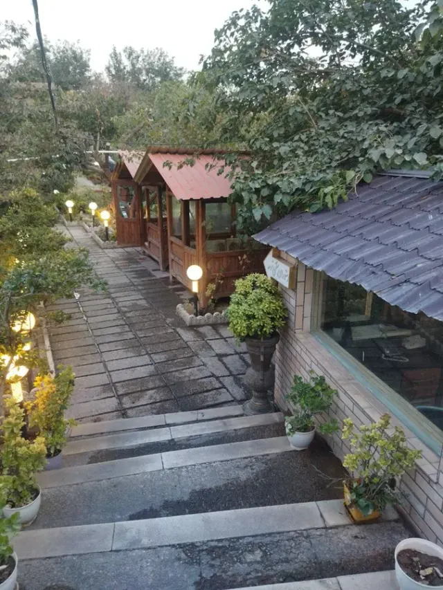 باغچه ترمه