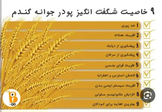 مواد غذایی بین استار و مواد غذایی سلامت