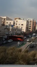 شیرینی نهال