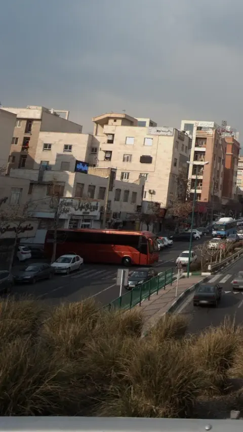 شیرینی نهال