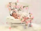 آتلیه عکاسی نوزاد و‌ بارداری دیناز