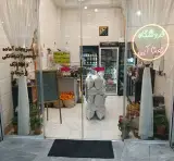 سبزی خردکنی نعنا آبی