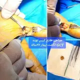 دکتر فرزام مکرمی