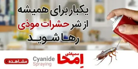 سمپاشی تخصصی امحا(باگارانتی)