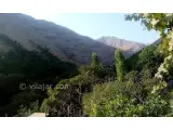 اجاره خانه ویلایی