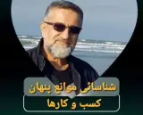 پیتکو گروپ مشاور مورد اعتماد کسب و کار