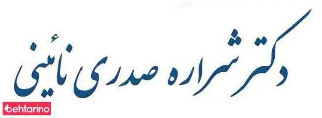 دکترصدری نایینی