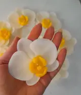 باران شمع