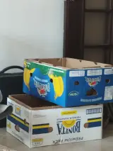 کارتن جهت اسباب کشی