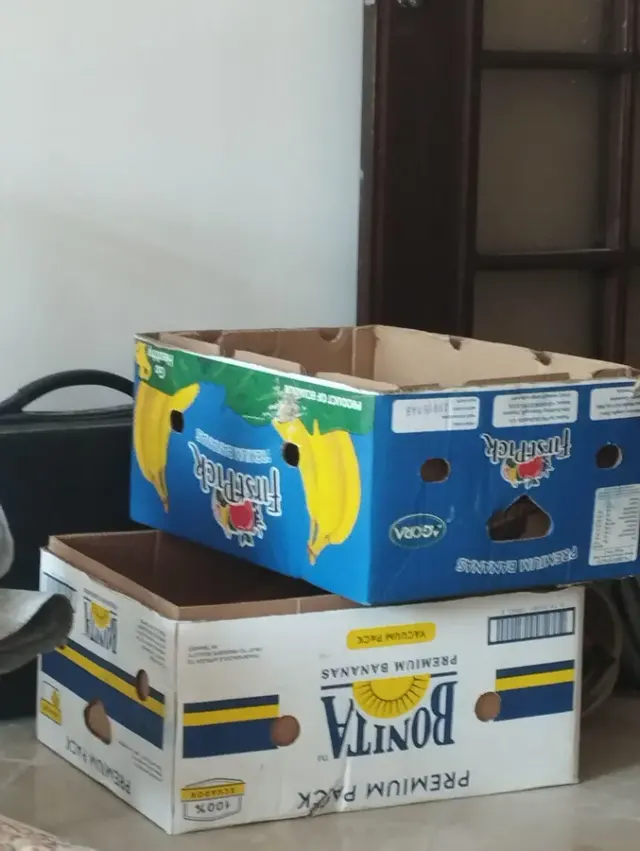 کارتن جهت اسباب کشی