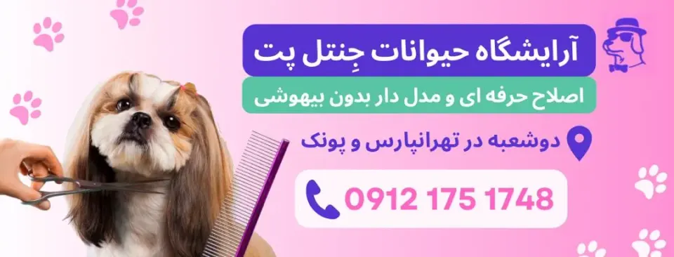 آرایشگاه حیوانات جنتل پت (پونک)