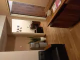 مطب مامایی اکبری