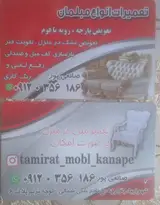 رضا صانعی پور