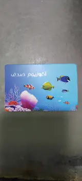 آکواریم صدف