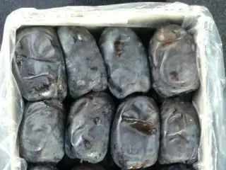 فروش عمده خرمای مضافتی درجه یک