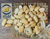 فروش بادام زمینی مخصوص کره گیری با کیفیت بالا