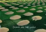 فروش سیلیس در کرمان