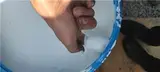 فروش چسب آکرونال(چسب زنده)