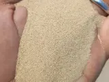 فروش ماسه سیلیس