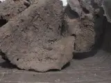 خریدار انواع شلاکه و خرسک