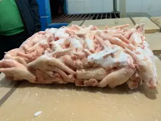 فروش پنجه مرغ پای مرغ