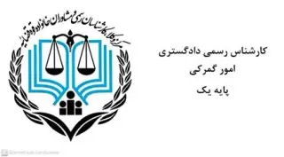 کارشناس رسمی دادگستری امور گمرکی و بازرگانی