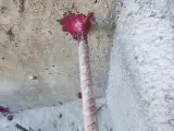 شرکت برش بتن افلاک