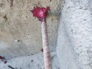 شرکت برش بتن افلاک