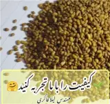 فروش بذر یونجه دیم اصل