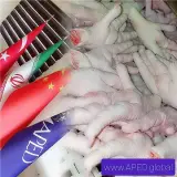 فروش و صادرات پا و پنجه مرغ گرید (+A)