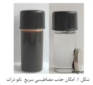 ذرات مغناطیسی برای خالص سازی هیس تاگ پروتئینها