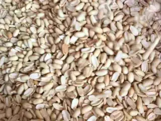 بادام زمینی به قیمت عمده و ارسال رایگان