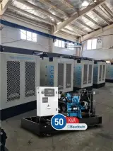 دیزل ژنراتور 50کاوا بادوین