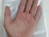توری پلاستیکی راشل