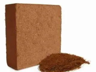فروش کوکوپیت cocopeat