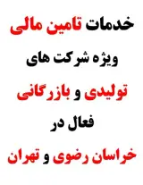 خدمات تامین مالی شرکتهای فعال درحوزه محصولات شیمیایی