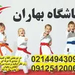 آموزش کاراته شیتوریو درباشگاه بهاران