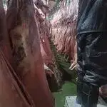 تره بار پیروزی
