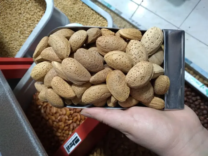 آجیل و خشکبار سید