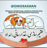 امیدآسمان امدادونجات حیوانات بی پناه