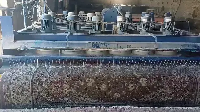 قالیشویی سلیمان