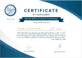 روانشناس و رواندرمانگر سمیرا کرمی