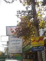 کلینیک دندانپزشکی گلشهر