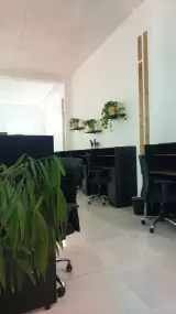 پانسیون مطالعاتی دخترانه بلوط