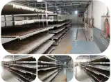 قالیشویی آئین دارنده لوح کیفیت (ممتاز)