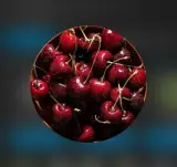 تولید و فروش نهال پیوندی و اصلاح شده برتر نهال در آذربایجان غربی